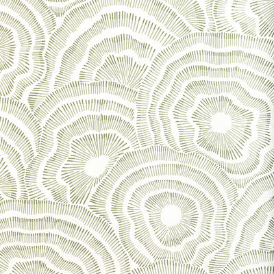 W3823-123 PANACHE WP LEAF KRAVET COUTURE Wallpaper