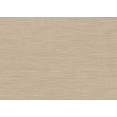 W3855-117 CANNETE WP 10376 KRAVET COUTURE Wallpaper