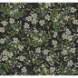 W3948-81 KRAVET DESIGN W3948-81 KRAVET DESIGN Wallpaper