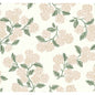 W3952-117 KRAVET DESIGN W3952-117 KRAVET DESIGN Wallpaper