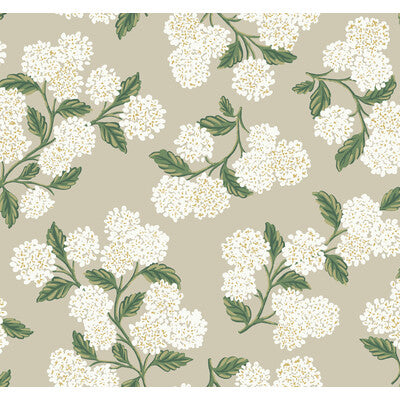 W3952-31 KRAVET DESIGN W3952-31 KRAVET DESIGN Wallpaper