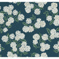 W3952-51 KRAVET DESIGN W3952-51 KRAVET DESIGN Wallpaper