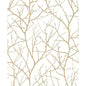 W4109-14 KRAVET DESIGN W4109-14 KRAVET DESIGN Wallpaper