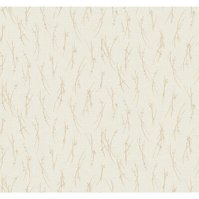 W4115-14 KRAVET DESIGN W4115-14 KRAVET DESIGN Wallpaper