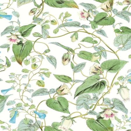 W4132-31 Kravet Design W4132 Kravet Design Wallpaper