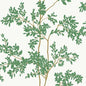 W4141-3 Kravet Design W4141 Kravet Design Wallpaper