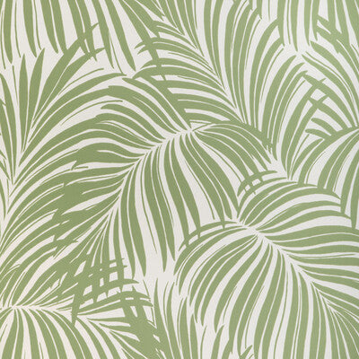 W4149-23 PALM LEAF WP VERDE KRAVET COUTURE Wallpaper