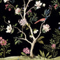 W4172-816 KRAVET DESIGN W4172-816 KRAVET DESIGN Wallpaper
