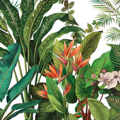 W4180-312 KRAVET DESIGN W4180-312 KRAVET DESIGN Wallpaper