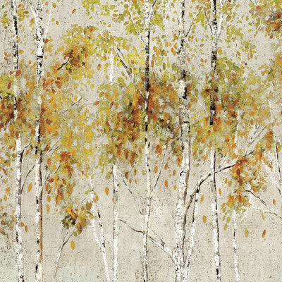 W4183-614 KRAVET DESIGN W4183-614 KRAVET DESIGN Wallpaper