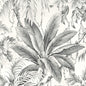 W4190-11 KRAVET DESIGN W4190-11 KRAVET DESIGN Wallpaper