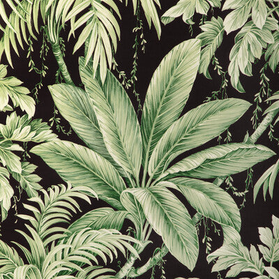 W4190-830 KRAVET DESIGN W4190-830 KRAVET DESIGN Wallpaper