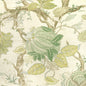 W4201-23 KRAVET DESIGN W4201-23 KRAVET DESIGN Wallpaper