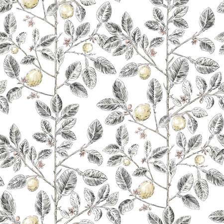 W4241-21 Kravet Design W4241 Kravet Design Wallpaper