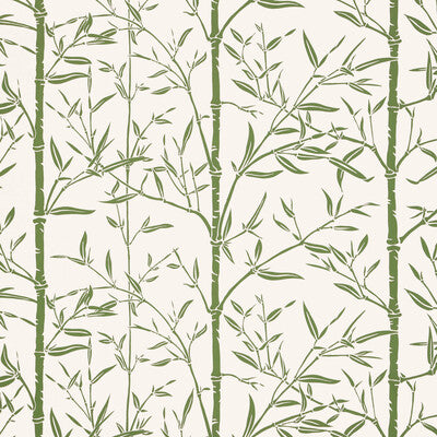 W4258-31 BAMBOO WP CACTUS KRAVET COUTURE Wallpaper