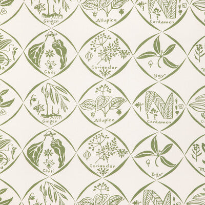 W4262-30 SPICES WP CACTUS KRAVET COUTURE Wallpaper