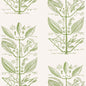 W4263-30 SUGAR AND SPICE WP CACTUS KRAVET COUTURE Wallpaper