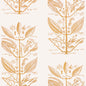 W4263-404 SUGAR AND SPICE WP GOLD KRAVET COUTURE Wallpaper