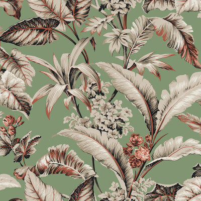 W4272-312 KRAVET DESIGN W4272-312 KRAVET DESIGN Wallpaper