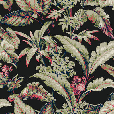 W4272-819 KRAVET DESIGN W4272-819 KRAVET DESIGN Wallpaper