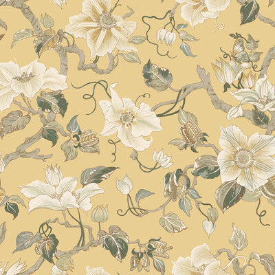 W4274-430 KRAVET DESIGN W4274-430 KRAVET DESIGN Wallpaper