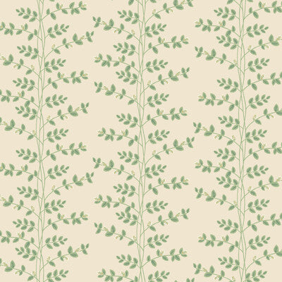 W4290-31 KRAVET DESIGN W4290 KRAVET DESIGN Wallpaper