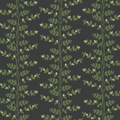 W4290-83 KRAVET DESIGN W4290 KRAVET DESIGN Wallpaper