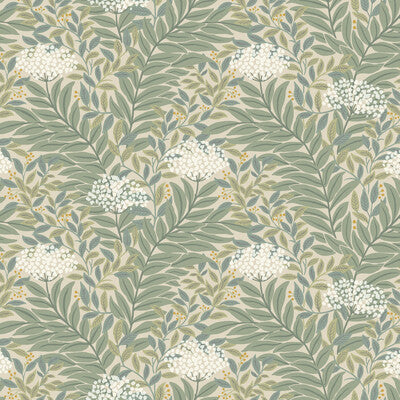 W4297-316 KRAVET DESIGN W4297-316 KRAVET DESIGN Wallpaper