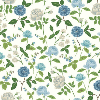 W4299-511 KRAVET DESIGN W4299-51 KRAVET DESIGN Wallpaper