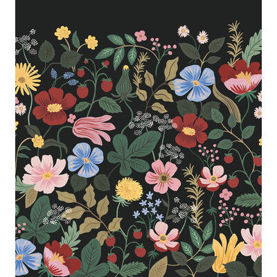 W4303-817 KRAVET DESIGN W4303-817 KRAVET DESIGN Wallpaper