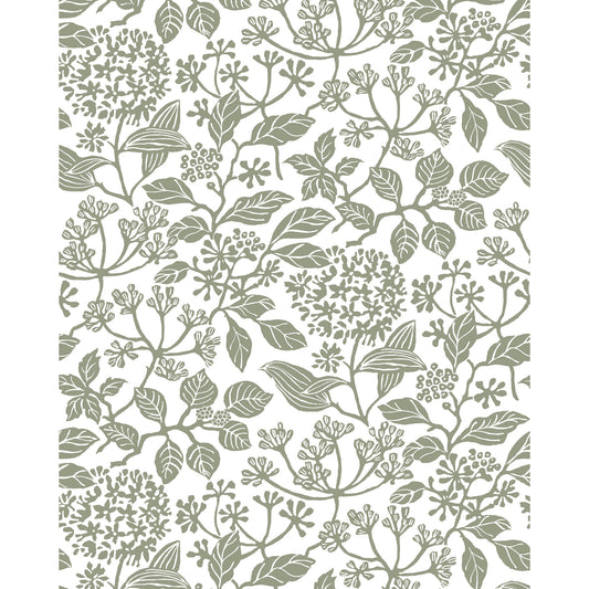 W4485-21 KRAVET DESIGN KRAVET DESIGN W4485-21