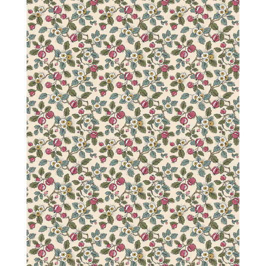 W4492-319 KRAVET DESIGN KRAVET DESIGN W4492-319