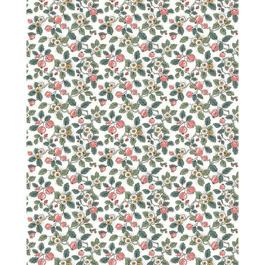 W4492-735 KRAVET DESIGN KRAVET DESIGN W4492-735