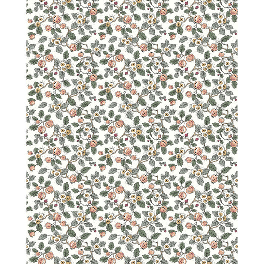 W4492-952 KRAVET DESIGN KRAVET DESIGN W4492-952
