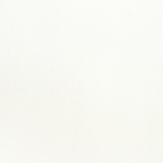 W70101 Thibaut Snow White Fabric
