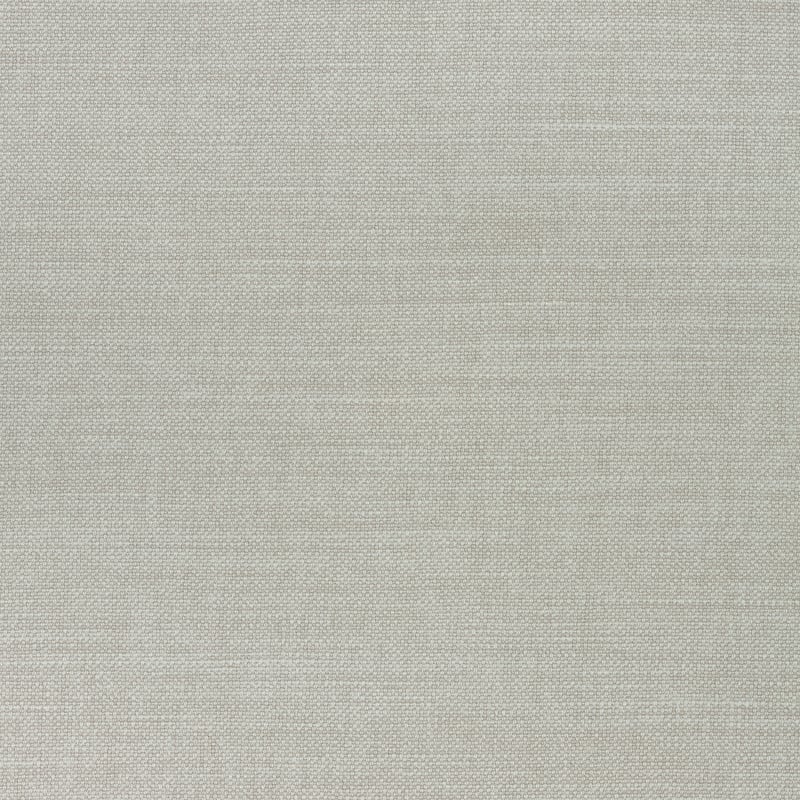 W70120 Thibaut Dove Fabric