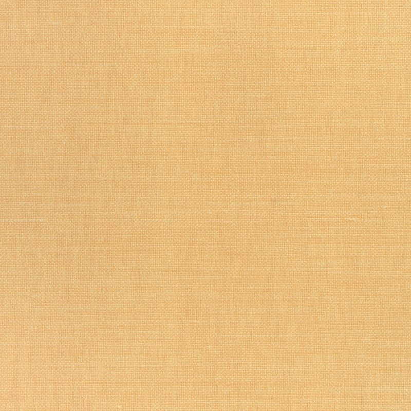 W70123 Thibaut Melon Fabric