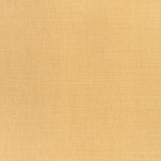 W70123 Thibaut Melon Fabric