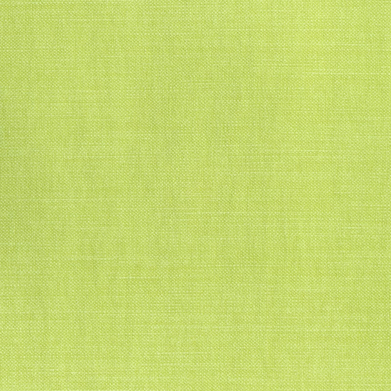 W70139 Thibaut Spring Green Fabric