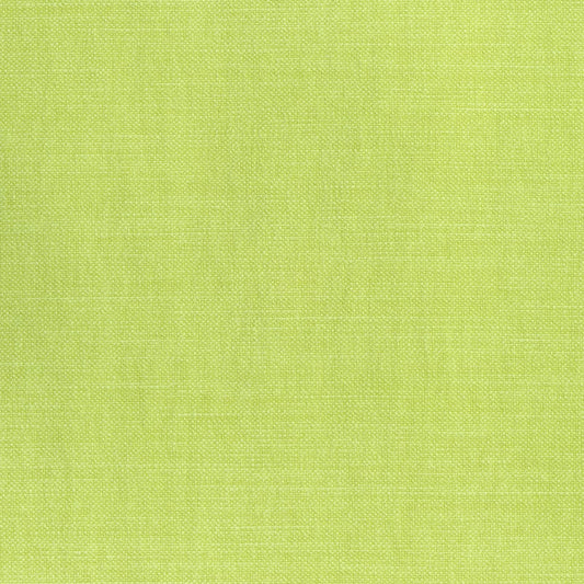 W70139 Thibaut Spring Green Fabric