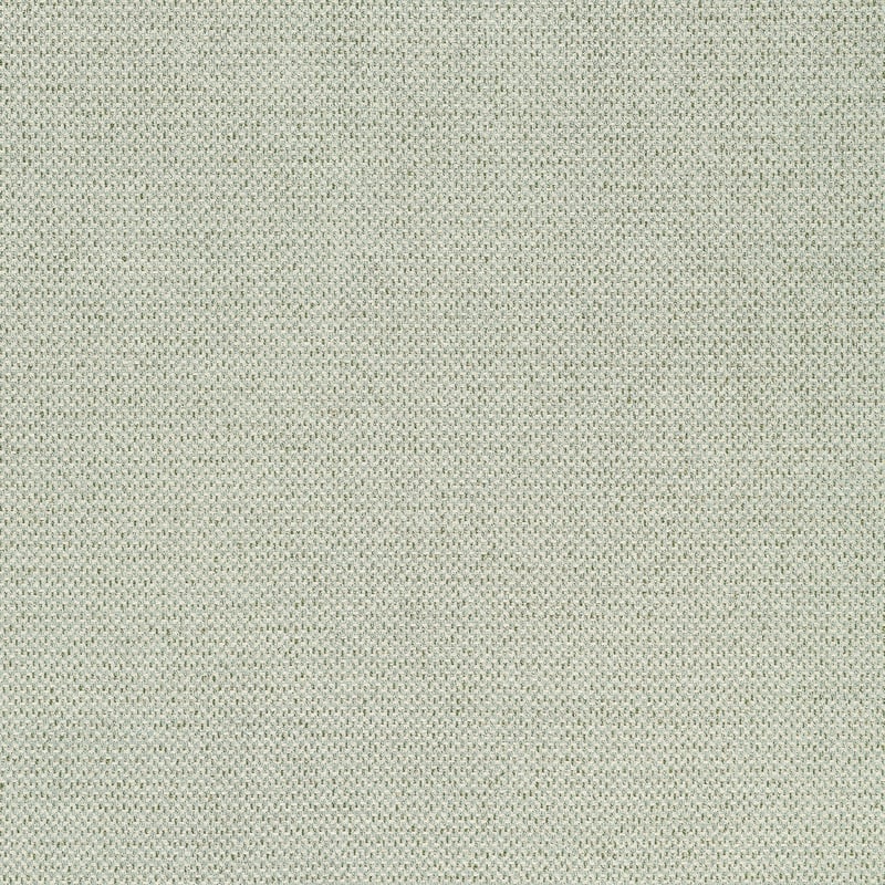 W711244 Thibaut Moss Fabric