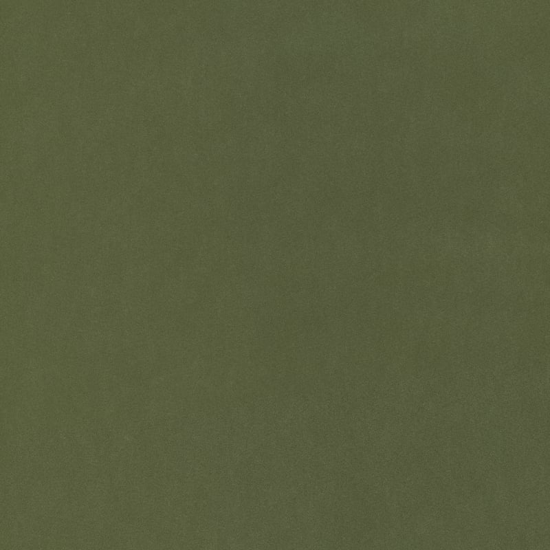 W72822 Thibaut Ivy Fabric