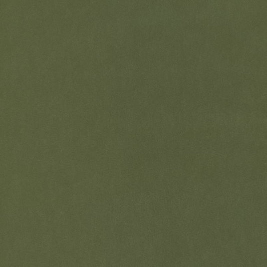 W72822 Thibaut Ivy Fabric