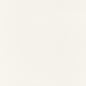 W75214 Thibaut Ivory Fabric