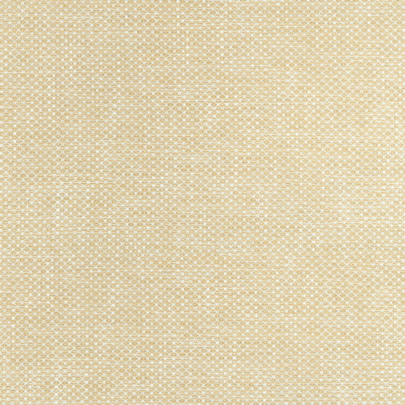 W75262 Thibaut Straw Fabric