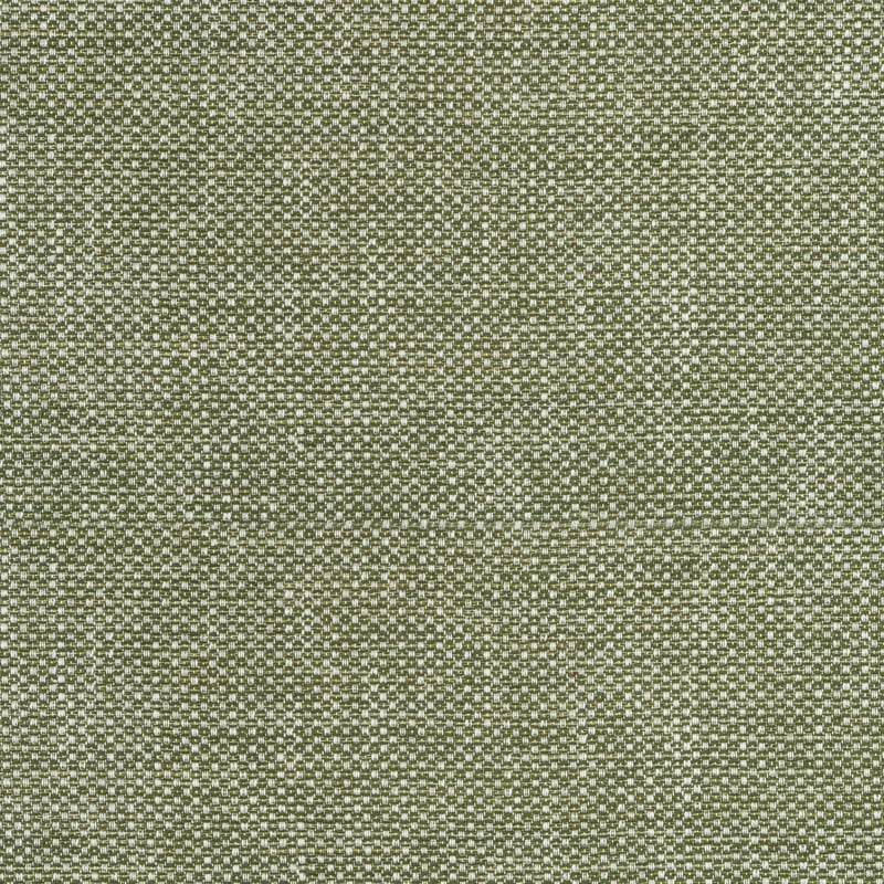 W75263 Thibaut Ivy Fabric