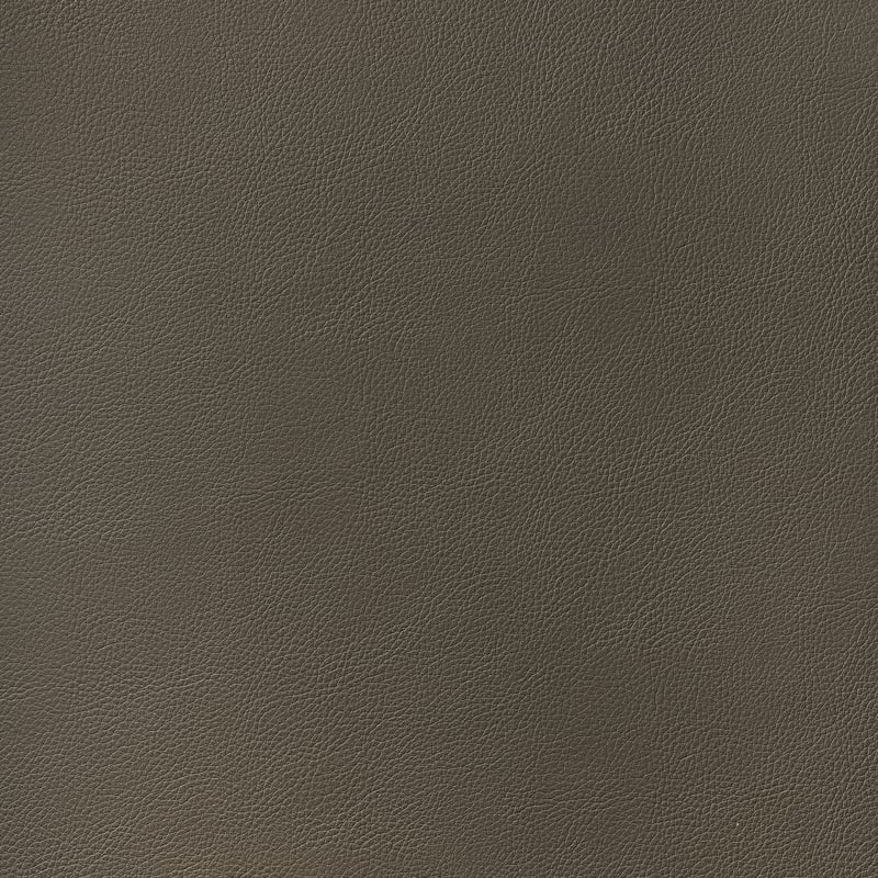 W78397 Thibaut Bark Fabric