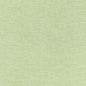 W81609 Thibaut Willow Fabric