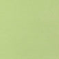 W81656 Thibaut Kiwi Fabric