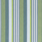W81703 Thibaut Bermuda and Kiwi Fabric